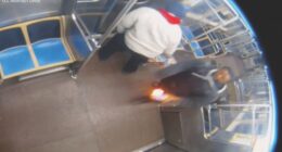 CTA attack: Lawrence Reed facing terrorism charge; possible link between City Hall arson: sources, court docs show