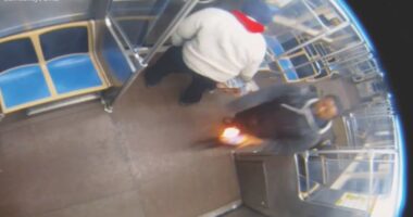 CTA attack: Lawrence Reed facing terrorism charge; possible link between City Hall arson: sources, court docs show