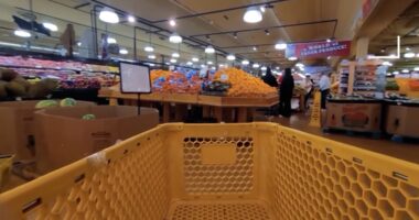 'Can't taste the difference': Tips for saving on Thanksgiving groceries amid rising food prices