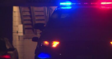 Car towed twice in 15 days before anyone noticed a dead body in the back seat