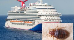 Carnival Cruise Line passengers sue, alleging they woke up with more than 30 bites from bed bugs