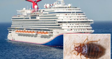 Carnival Cruise Line passengers sue, alleging they woke up with more than 30 bites from bed bugs