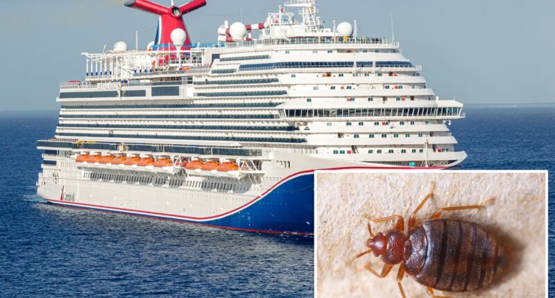 Carnival Cruise Line passengers sue, alleging they woke up with more than 30 bites from bed bugs