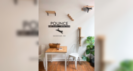 Cat cafe helps family pets during government shutdown