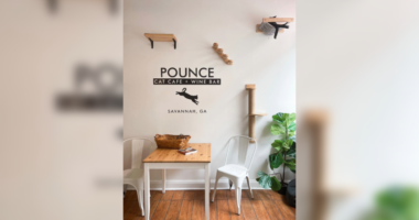 Cat cafe helps family pets during government shutdown