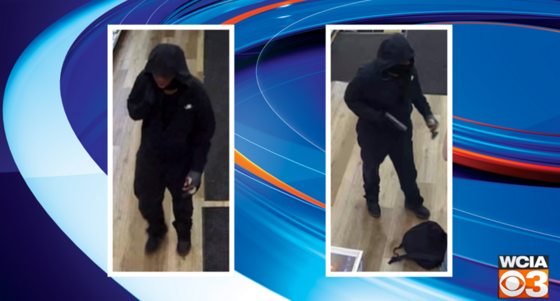 Champaign Co. Crime Stoppers seeking tips on Urbana armed robbery