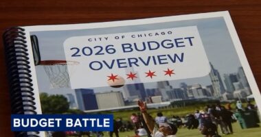 Chicago Mayor Brandon Johnson offers City Council members online portal to submit budget efficiency ideas