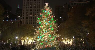 Chicago Tree Lighting Ceremony: Official city Christmas tree to light up Millennium Park, Christkindlmarket opens Friday