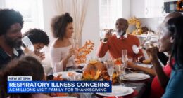 Chicago-area doctors worry over subclade K flu strain ahead of Thanksgiving 2025 holiday