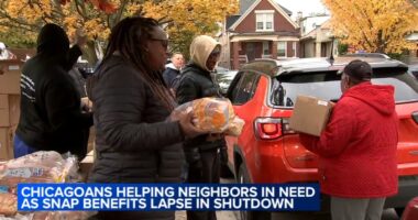 Chicago-area groups helping neighbors in need as Illinois SNAP benefits lapse, funding order blocked by Supreme Court justice