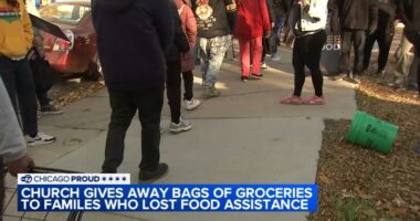 Chicago churches, Animal Care and Control give out groceries, pet food to SNAP recipients amid government shutdown