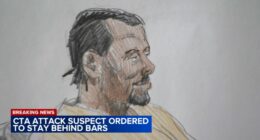 Chicago crime: Lawrence Reed, CTA Blue Line fire attack suspect charged with terrorism, to remain in custody, judge rules