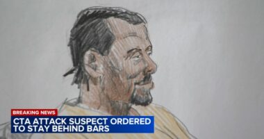 Chicago crime: Lawrence Reed, CTA Blue Line fire attack suspect charged with terrorism, to remain in custody, judge rules