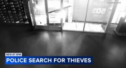 Chicago crime: New video shows crash-and-grab thieves slam stolen car into Garfield Park store; Humboldt Park shop also hit