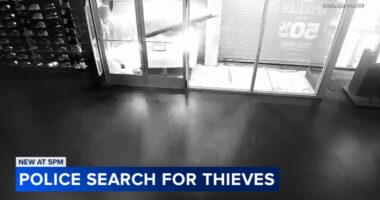 Chicago crime: New video shows crash-and-grab thieves slam stolen car into Garfield Park store; Humboldt Park shop also hit