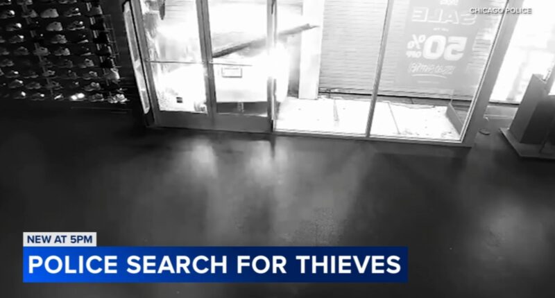 Chicago crime: New video shows crash-and-grab thieves slam stolen car into Garfield Park store; Humboldt Park shop also hit