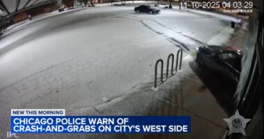 Chicago crime: Video shows crash-and-grab thieves slam stolen car into Garfield Park store; Humboldt Park shop also hit, CPD says