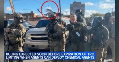 Chicago judge hears challenge to federal immigration agents' use of force against protesters, journalists; ruling coming Thursday