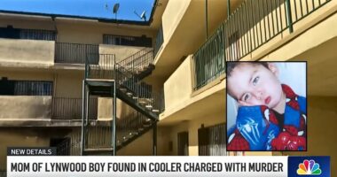 Child kept in 'cooler' after parents, grandma killed him: DA