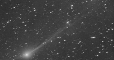 This photo provided by Gianluca Masi shows the interstellar comet 3I/Atlas as it streaks through space, 190 million miles from Earth, on Wednesday, Nov. 19, 2025. The image was taken from Manciano, Italy. (Gianluca Masi via AP)