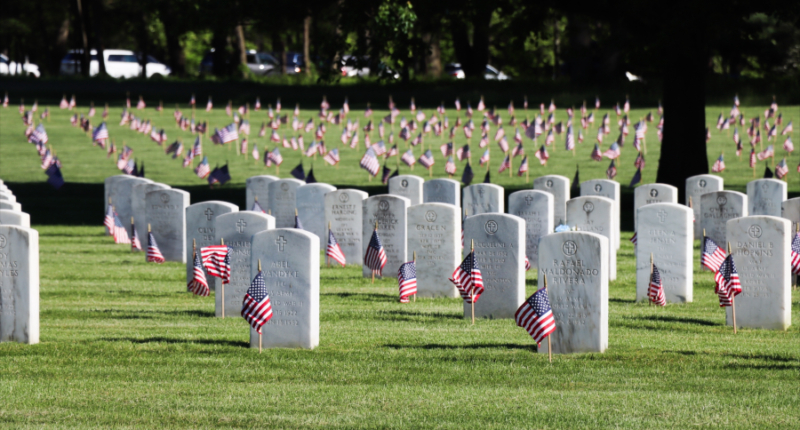 Community effort saves Veterans Day event at Fort Custer amid shutdown
