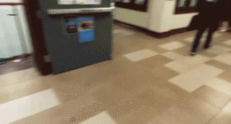 Conservative Gettysburg College group catches student on video tearing down promotional flyers