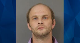 Convicted Alabama Felon Rapes Little Girl Sleeping on Air Mattress