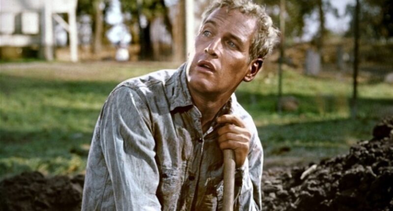 Cool Hand Luke's 'What We've Got Here Is Failure To Communicate' Line Holds A Rare Honor