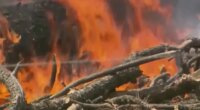 Countywide burn ban enacted for Citrus County