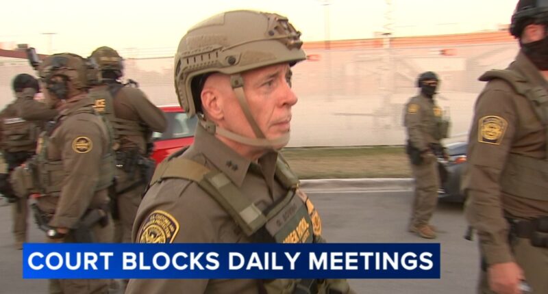 Court says Greg Bovino, Border Patrol commander, won't have to brief Judge Sara Ellison Chicago immigration operations
