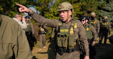 Customs and Border Protection Cmdr. Greg Bovino leaving Chicago soon, DHS expected to maintain presence: sources