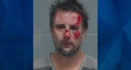 Dad Jumps Out of Moving Vehicle When Daughter Calls 911 Because He’s Fighting With Mom