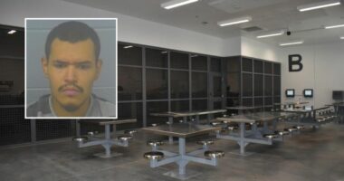 Dad placed pillow over baby 'for a few minutes max': Cops