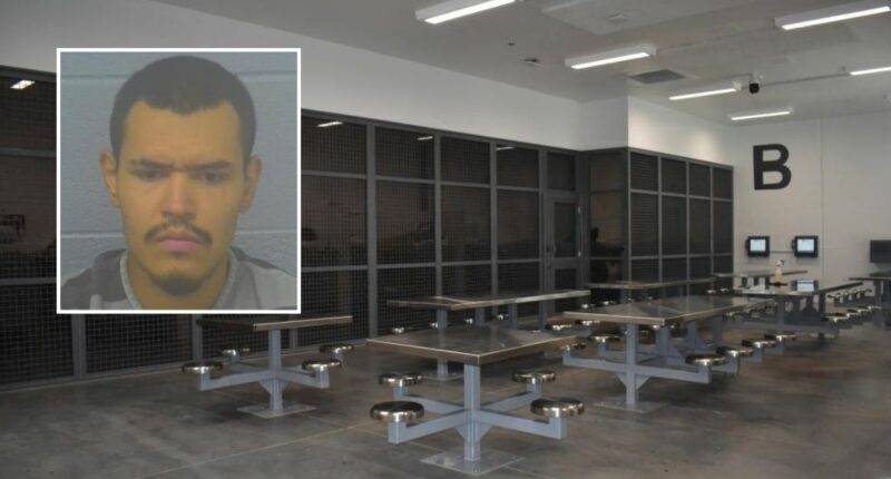 Dad placed pillow over baby 'for a few minutes max': Cops