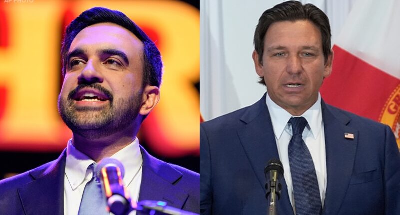 DeSantis: Mamdani's win as mayor will push New Yorkers to Florida