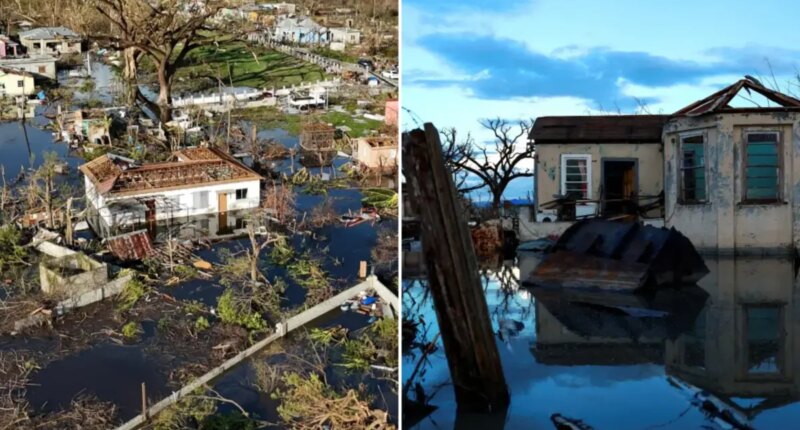 Deadly leptospirosis outbreak hits Jamaica following Hurricane Melissa devastation