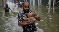 A man wades through a flooded road carrying a cat in Colombo, Sri Lanka, Saturday, Nov, 29, 2025. (AP Photo/Eranga Jayawardena)