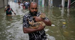 A man wades through a flooded road carrying a cat in Colombo, Sri Lanka, Saturday, Nov, 29, 2025. (AP Photo/Eranga Jayawardena)