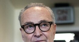 Democrats Cave on Government Funding, Will Receive Nothing for Ending Schumer Shutdown