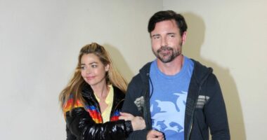 Denise Richards Granted Permanent Restraining Order Against Husband Aaron