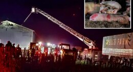 Devastating blaze rips through historic Long Island farm