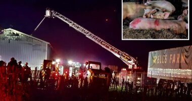 Devastating blaze rips through historic Long Island farm