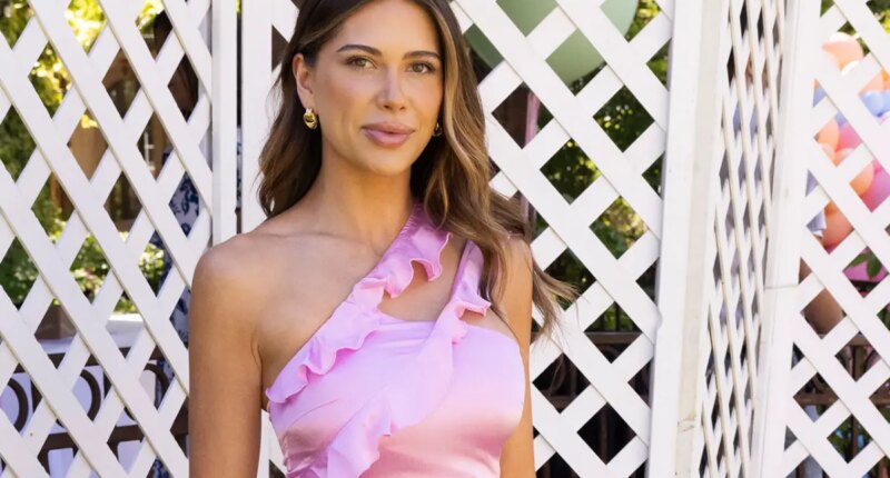 Did Demi Engemann Quit ‘The Secret Lives Of Mormon Wives’?