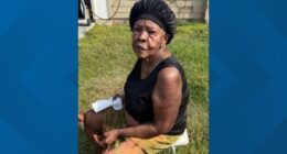 Do you know this woman? Jacksonville police attempt to identify found senior