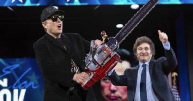 Doesn't exist': DOGE is done for – eight months early