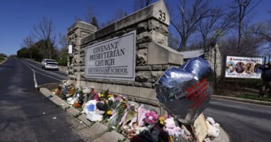 Dog who comforted grieving Nashville students wins Humane Society award