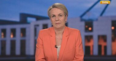 Domestic violence helpline gets funding boost to 'keep up with demand'