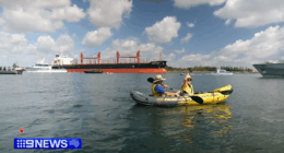 Dozens arrested in Port of Newcastle climate change protest