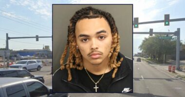 Driver repeatedly reversed over pedestrian's head: Police