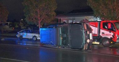 A driver has taken out several parked cars before flipping her own in an Adelaide street.